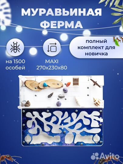 Муравьиная ферма Космос с муравьями