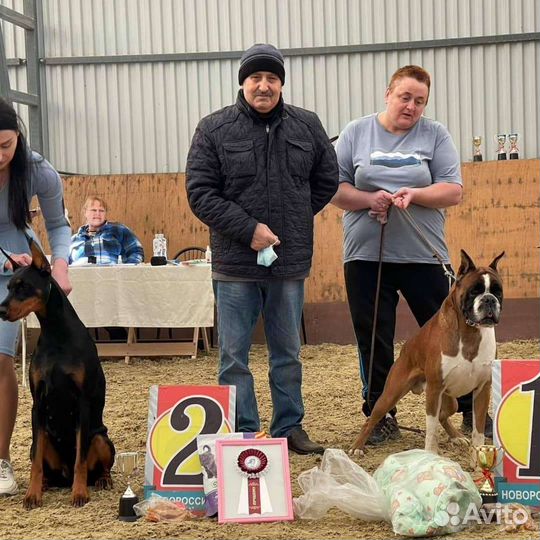 Предлагается для вязки