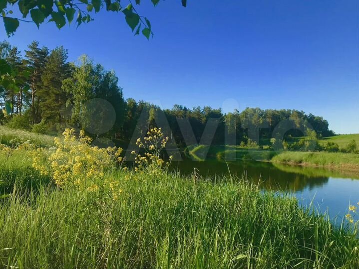 Участок 16,5 сот. (ИЖС)