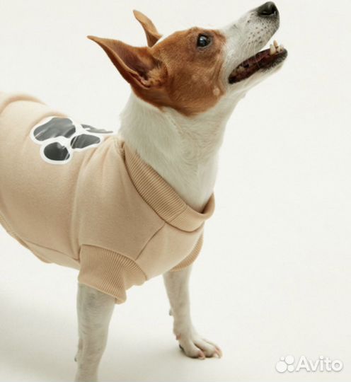 Зимняя одежда для собак