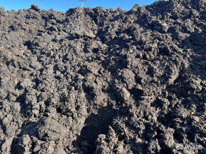 Навоз коровий