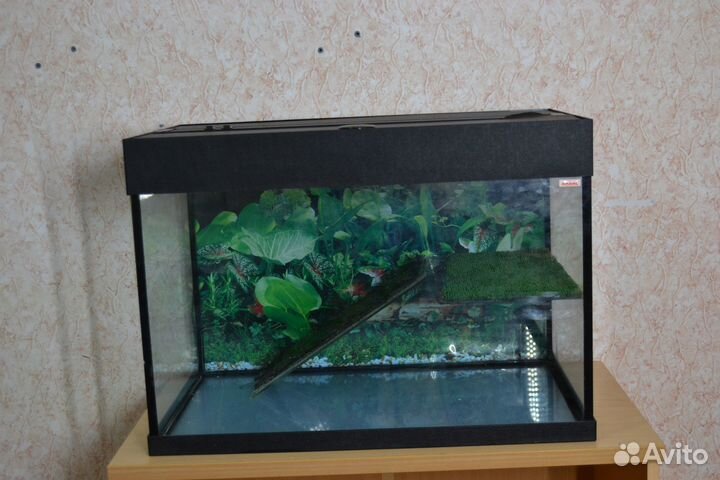 Аквариум аквас для черепах 117 л