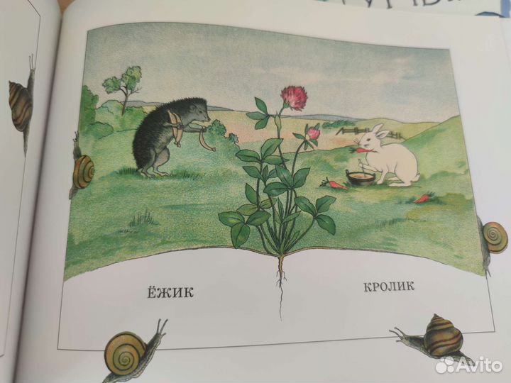 Сибил Фон Олферс. А.Н.Толстой Глупый тигр