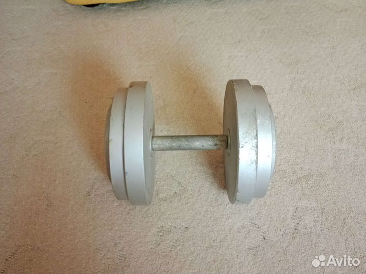 Гантеля разборная