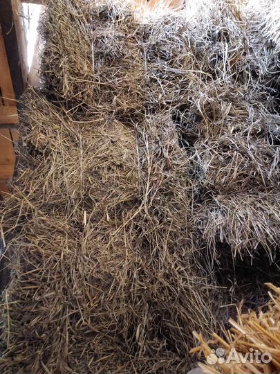 Сено в тюках, солома