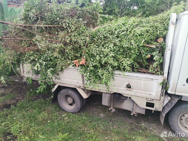 Вывоз мусора