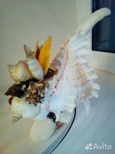 Светильник из настоящих ракушек