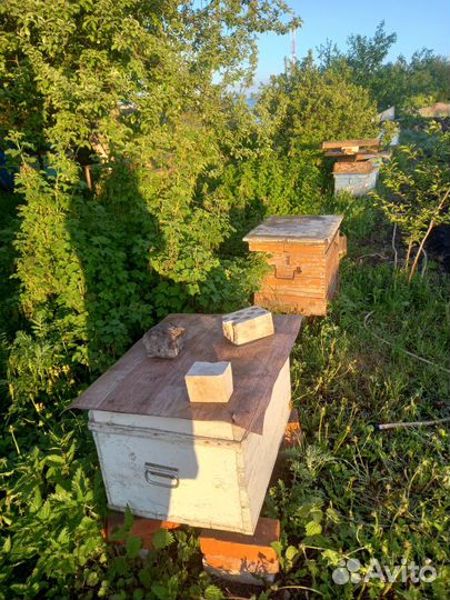 Продам ульи для пчел