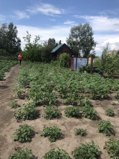 Дача 10 м² на участке 6 сот.