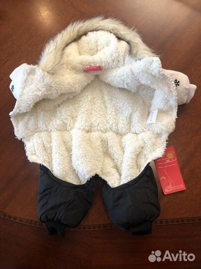 Одежда для собак