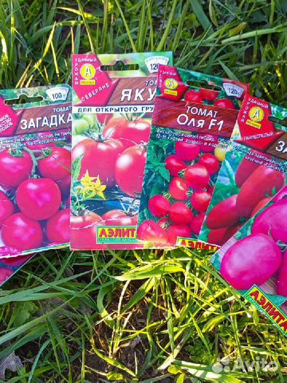 Рассада помидор огурцов перцев