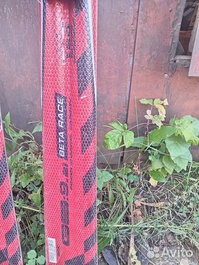 Горные лыжи