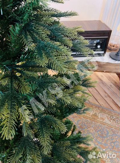 Ель Королевский каприз (Комбинированная 50/50)