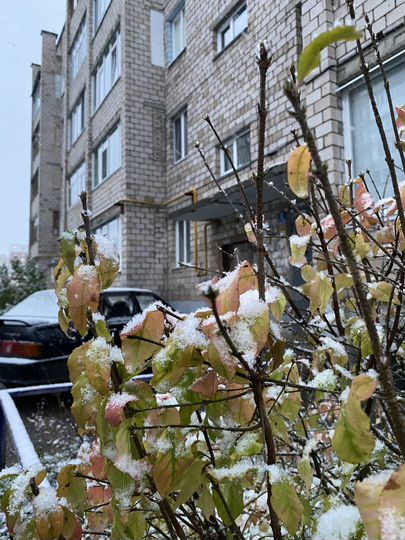 2-к. квартира, 52 м², 5/5 эт.