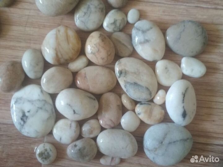 Морские камни и ракушки