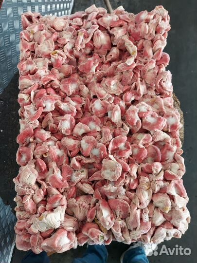 Мясо для собак и других животных с доставкой