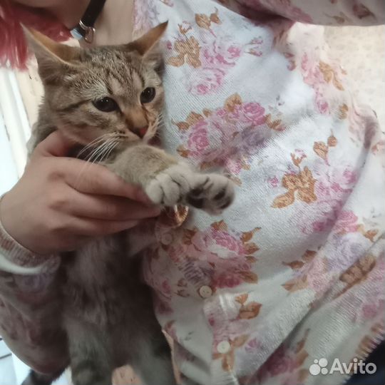 Кофточка в цветочек