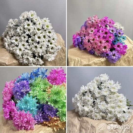 Кустовая хризантема, розы