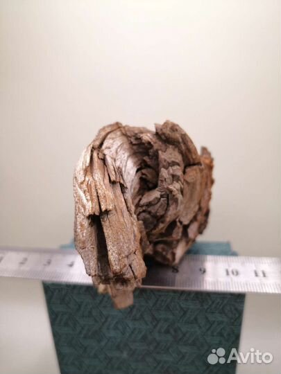 Лигнит, ископаемая древесина. Липовское, Урал