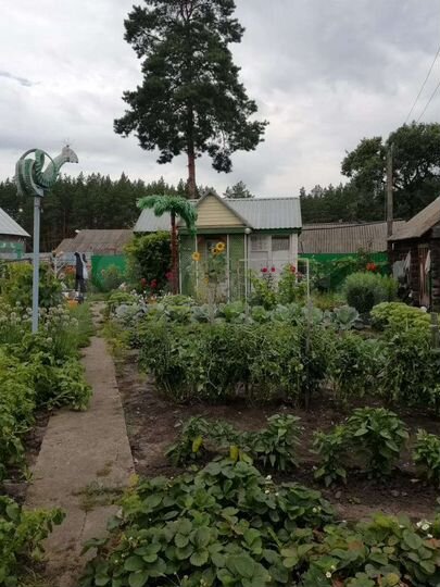 Дом 75,9 м² на участке 31 сот.