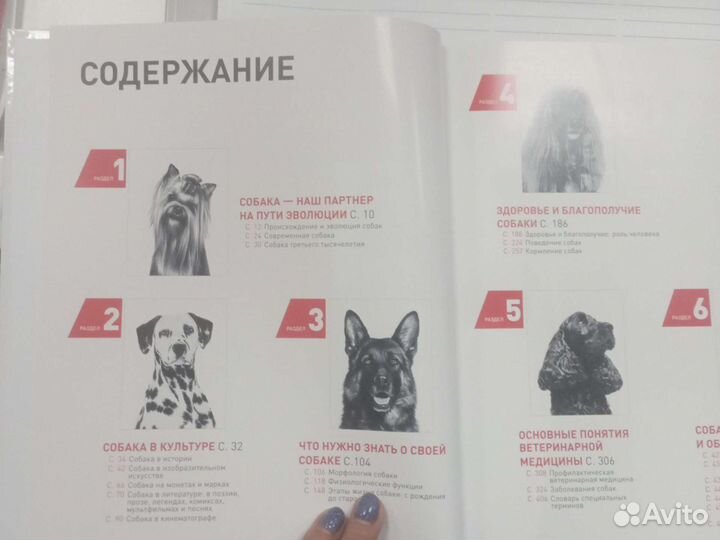 Энциклопедия Собаки