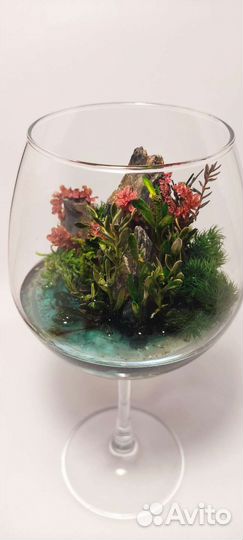 Флорариум Моссариум