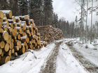 Лесосырьевая база, заготовка древесины