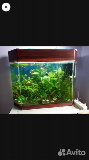 Аквариум