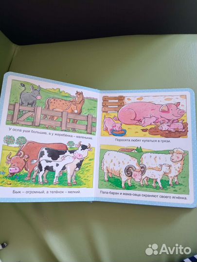 Энциклопедия для малышей 