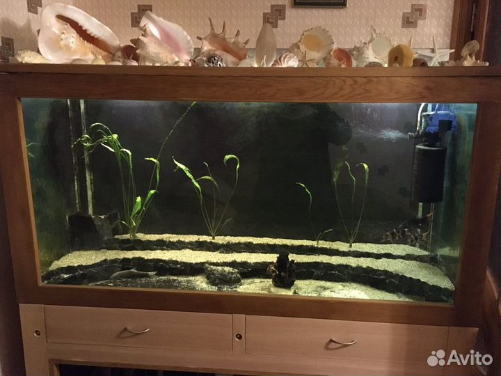 Аквариум