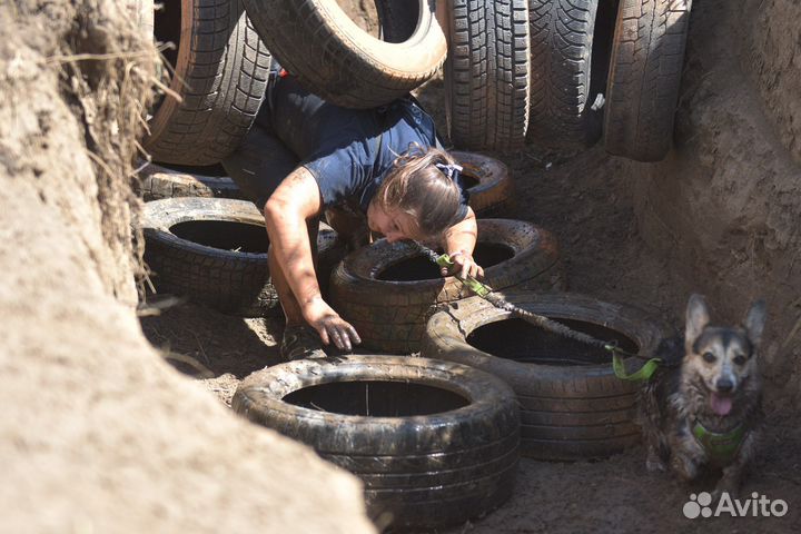 Услуги кинолога