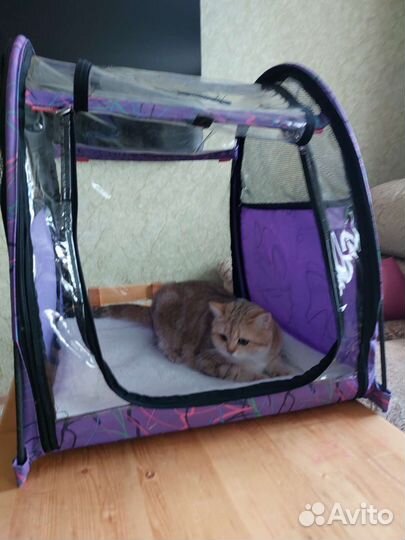 Выставочная палатка Ladioli