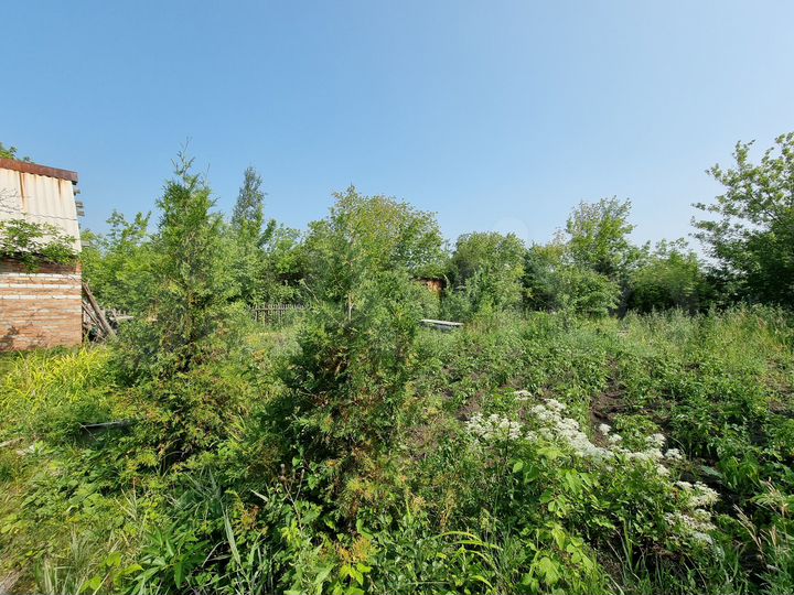 Участок 6 сот. (СНТ, ДНП)