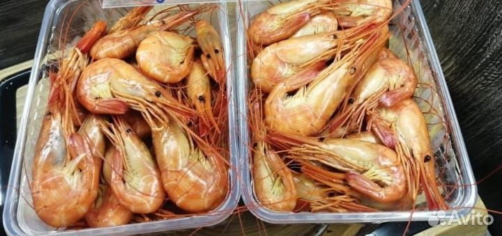 Морской гребешок