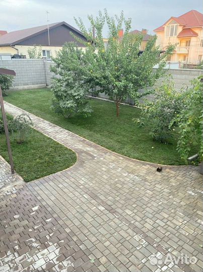 Газон в рулоне