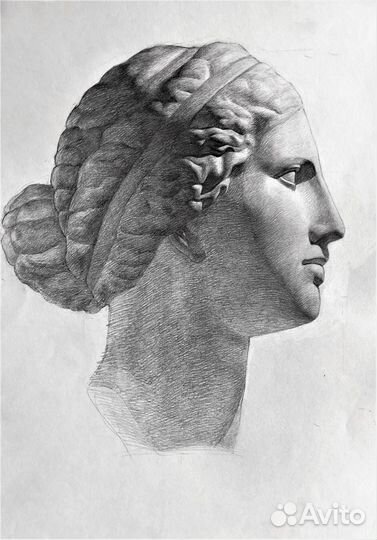 Подготовка рисунок, черчение в архитектурные вузы