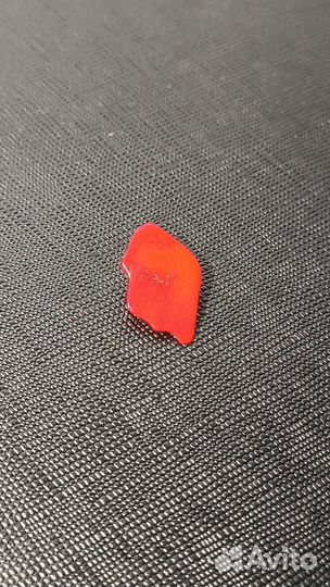 Коралл. Природный