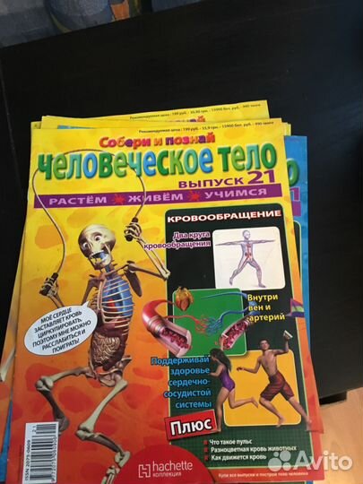 Журнал собери и познай Артема скелет