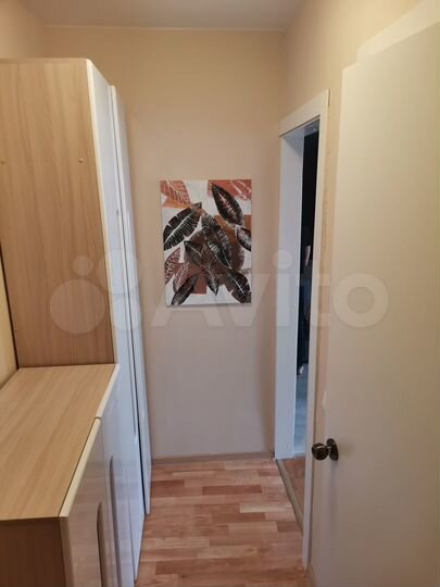 1-к. квартира, 29,9 м², 4/5 эт.