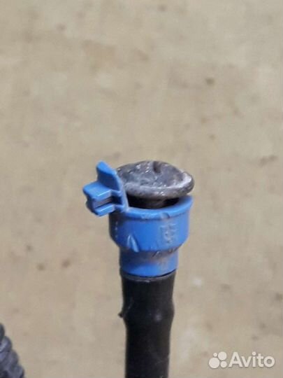 Пежо шланг омывателя Citroen Peugeot 2м 25см