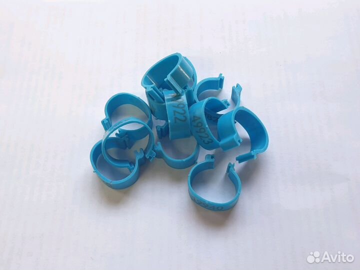 Кольцо для птиц