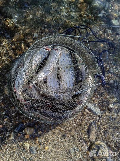 Лодка с мотором Байкальск отдых рыбалка аренда