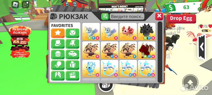 Петы адопт ми