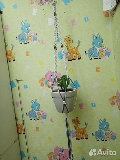 Кашпо макраме на заказ