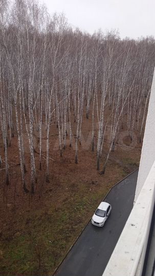 Квартира-студия, 28 м², 7/10 эт.