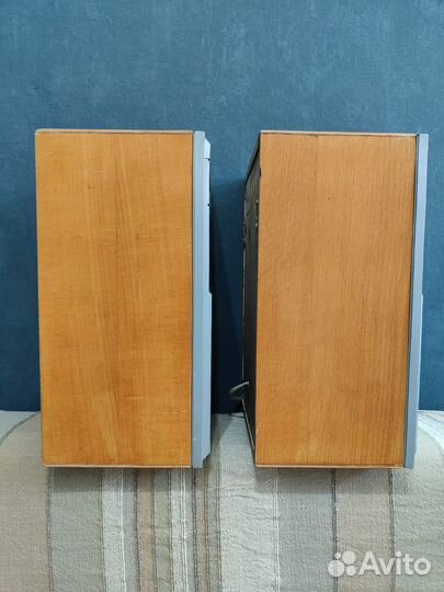 Акустические колонки 15 ас-109 «Вега»