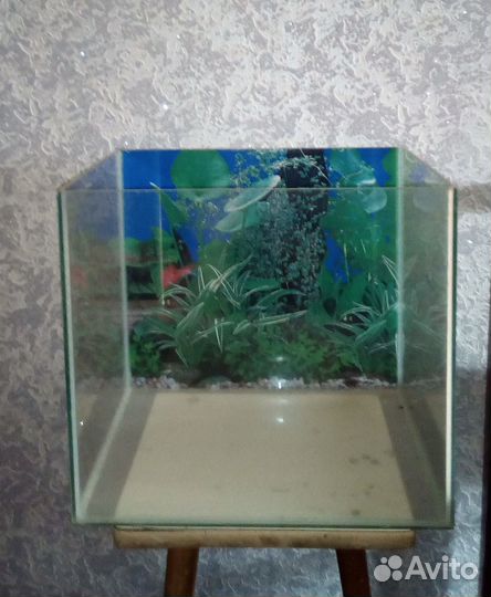 Аквариумы 375л,200л