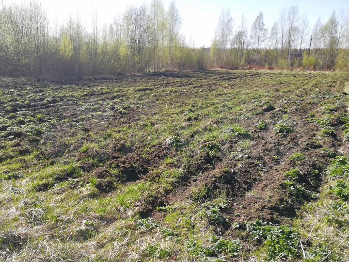 Участок 20 сот. (СНТ, ДНП)