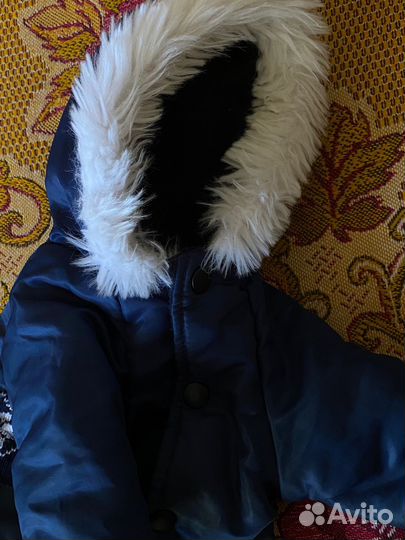 Костюм для собаки