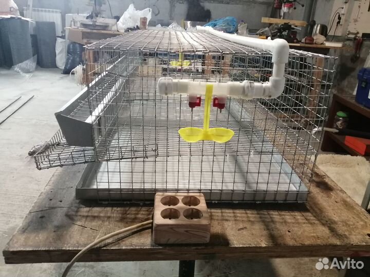 Клетки для перепелов от заводчиков перепелов